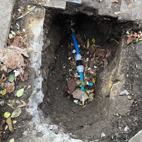 20F8CB2C-B3D7-48F6-A738-919C3E455D43